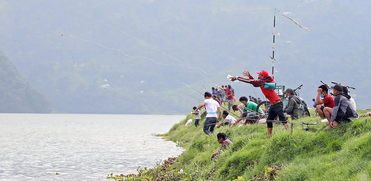 https://republicaimg.nagariknewscdn.com/shared/web/uploads/media/FishingFewaLake_20200708090859.jpg