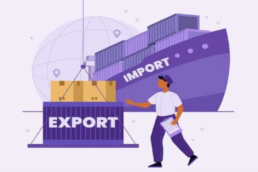 Import-Export-1785112557.webp