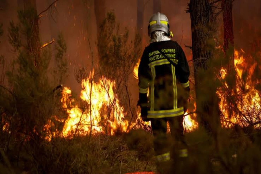 Wildfire-1785129947.webp