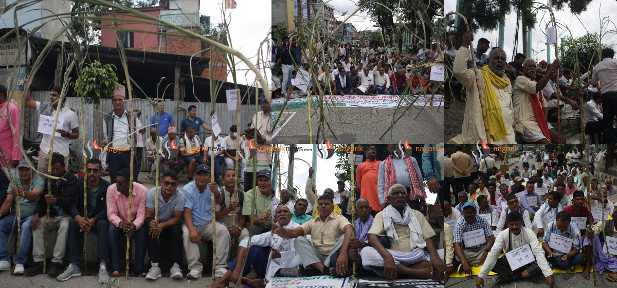 Sugarcane farmers stage protest demanding govt support (With photos)