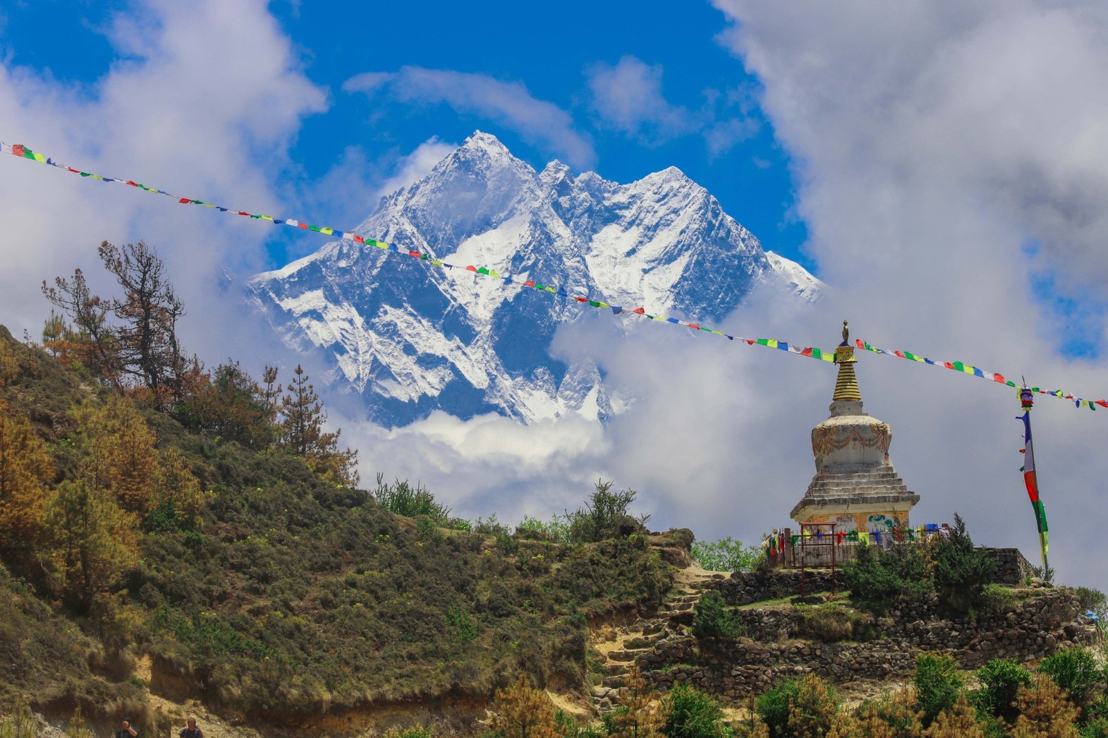 Nepal ranked 7th in 2025 solo adventure travel list – myRepublica – The New York Times Partner, Latest news of Nepal in English, Latest News Articles