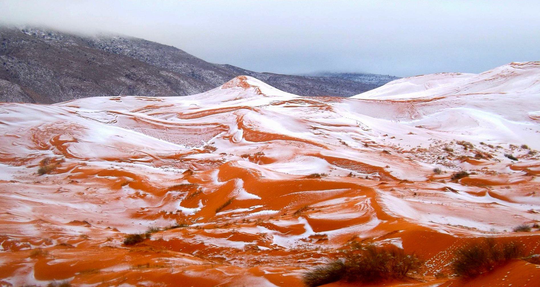 【デッドストック】Naef/Sahara EarthView\u2013Rare Snow Falls at the Edge of Sahara Desert | U.S.